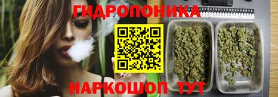 прущие крисы Нальчик