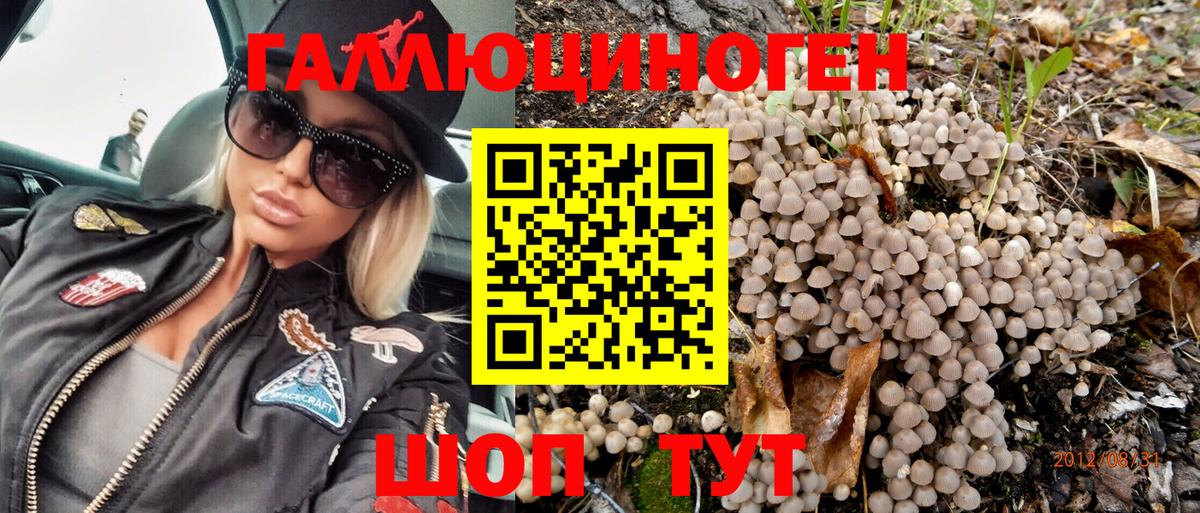 Псилоцибиновые грибы GOLDEN TEACHER Ревда