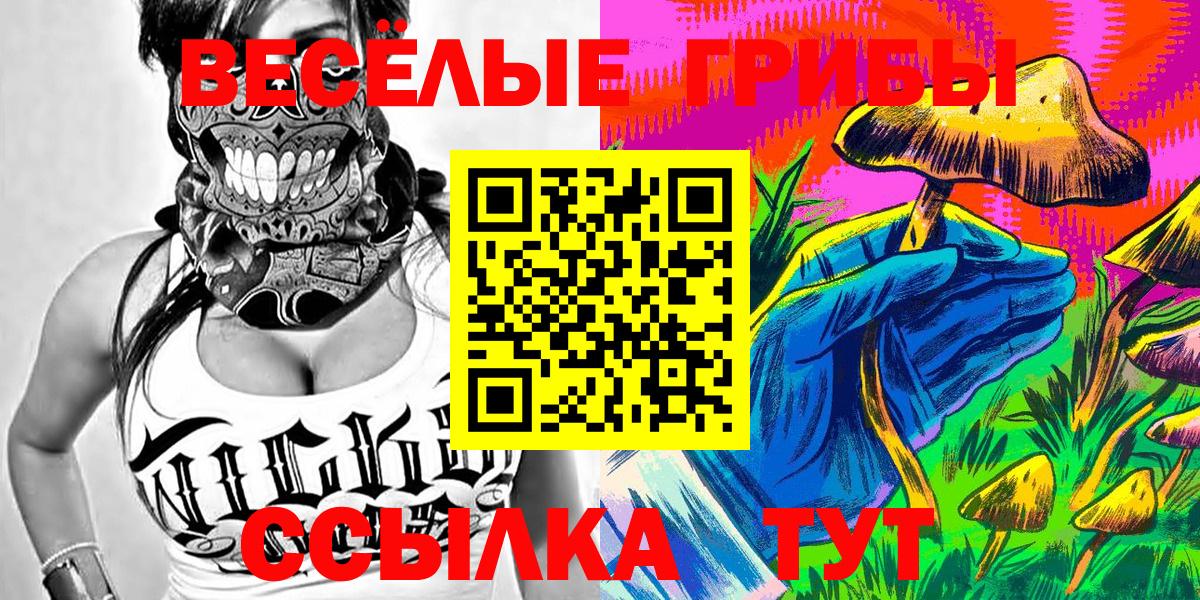 магазин продажи наркотиков  Псилоцибиновые грибы прущие грибы  Вход с VPN  Ревда 